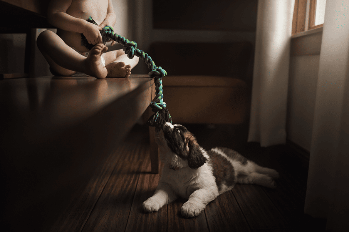 Use Natural Light by click it up a notch
