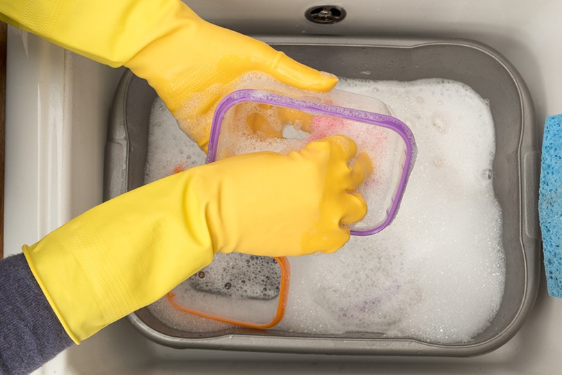 Washing Plastic Bird Feeder_photographyfirm_Shutterstock