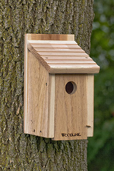 Woodlink Wooden Birdhouse