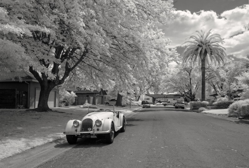 Black and white infrared photography