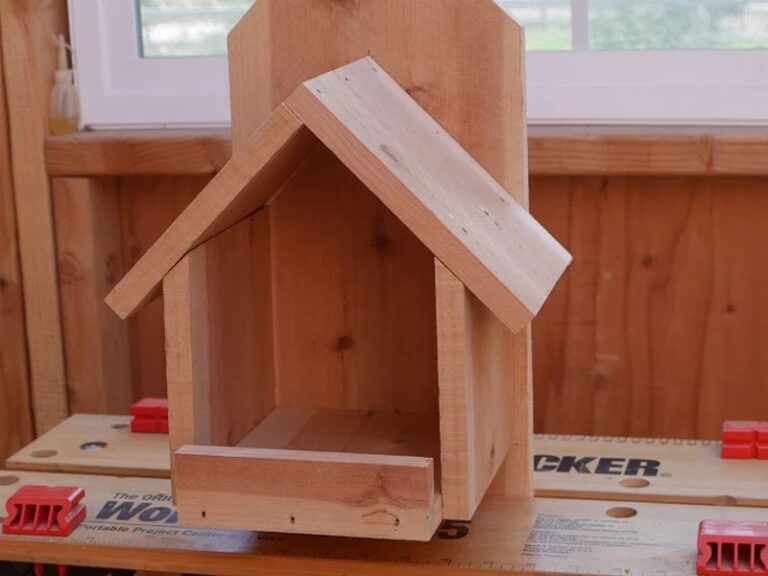 3 DIY Cardinal Bird House Plans You Can Make Today - Optics Mag
