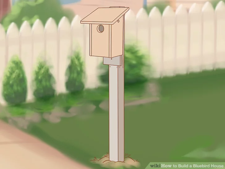 Easy Bluebird House by WikiHow