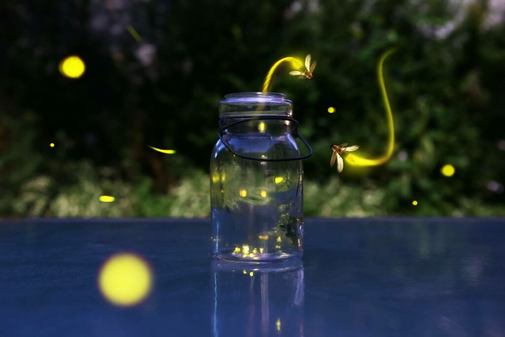 Fireflies in a jar