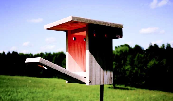 Flat Top Bluebird House by Empress Of Dirt