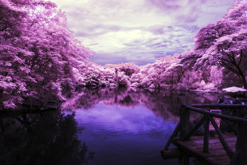 Infrared photography with great background