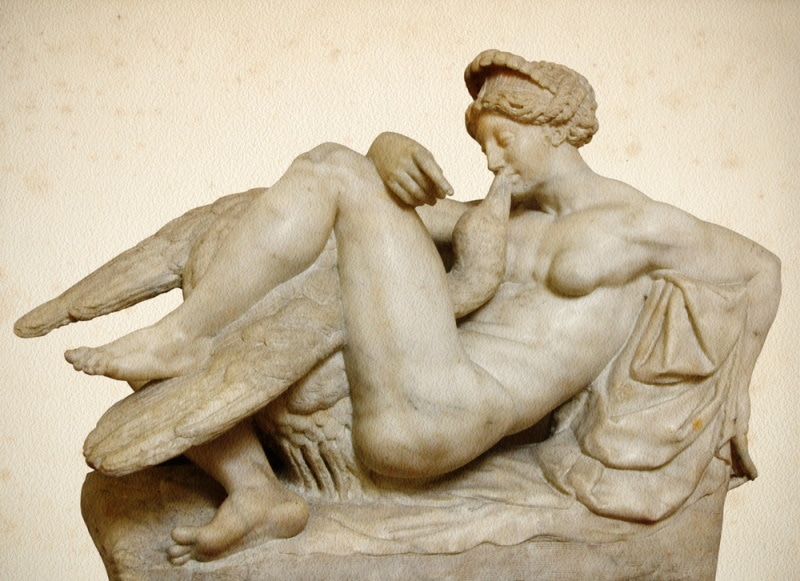 Leda and the swan portrait