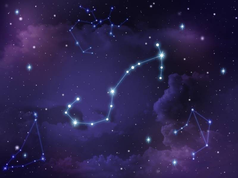 23 Interesting Scorpio Constellation Facts Myths FAQs Optics Mag