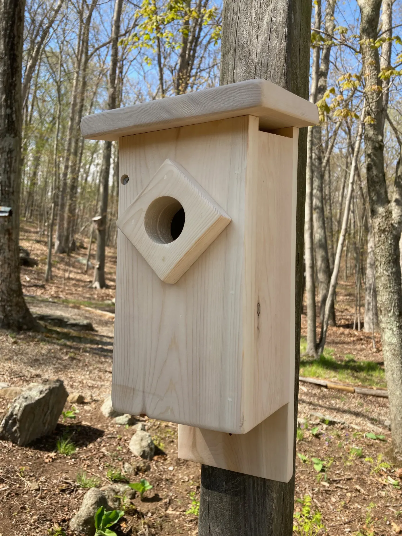 Simple DIY Bluebird House by Felt Magnet