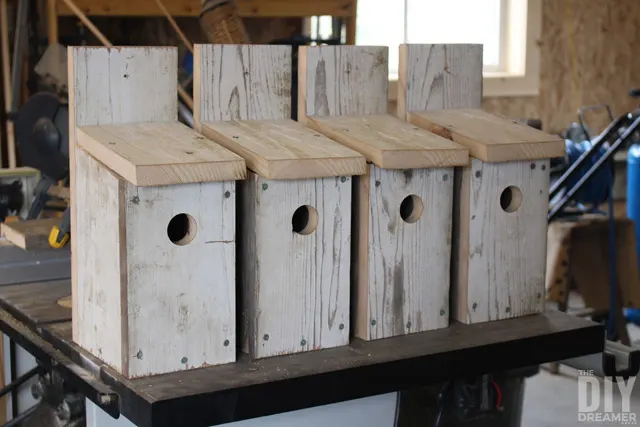 Traditional Bluebird House by The DIY Dreamer
