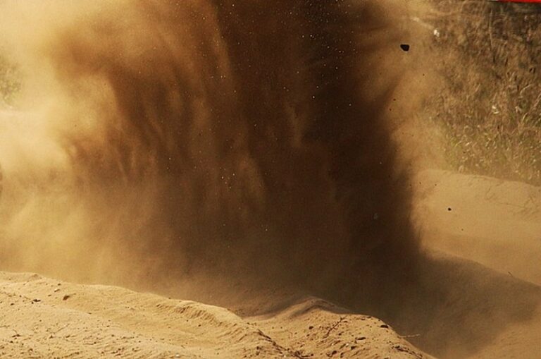 What Does Dust Look Like Under a Microscope? Facts & FAQ Optics Mag