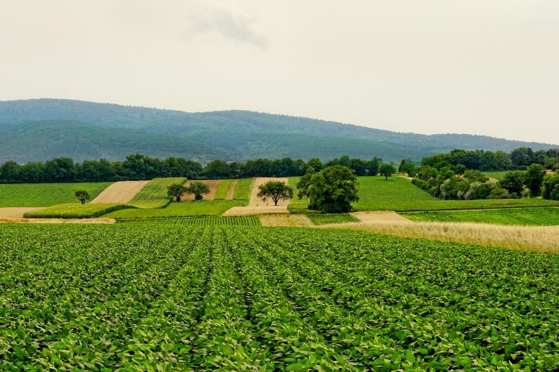 agricultural land