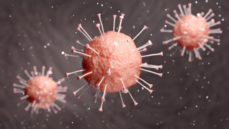 corona virus