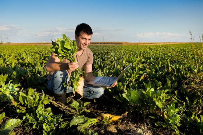 farmer holding sugar beat and laptop