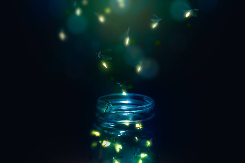 fireflies in a glass jar