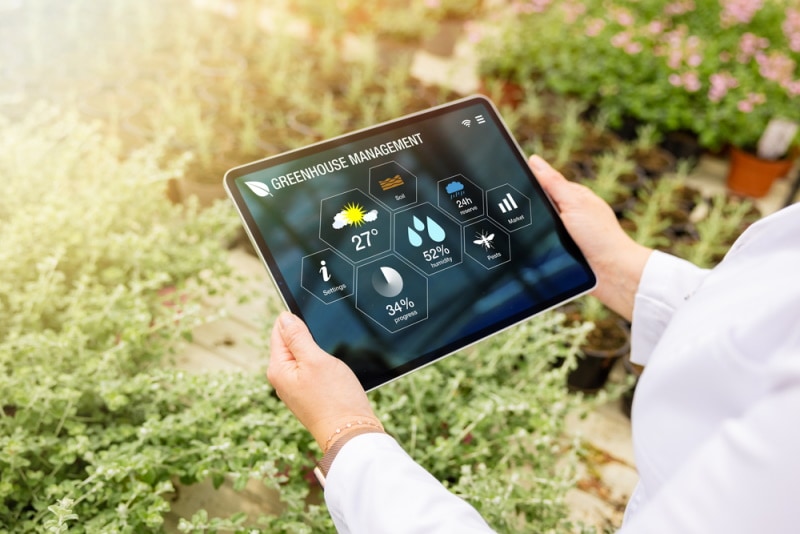 greenhouse plant management
