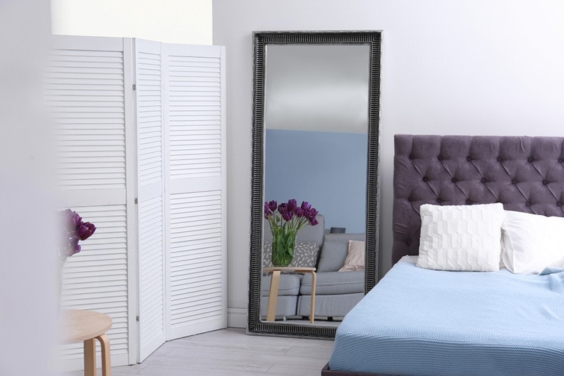large mirror in the bedroom