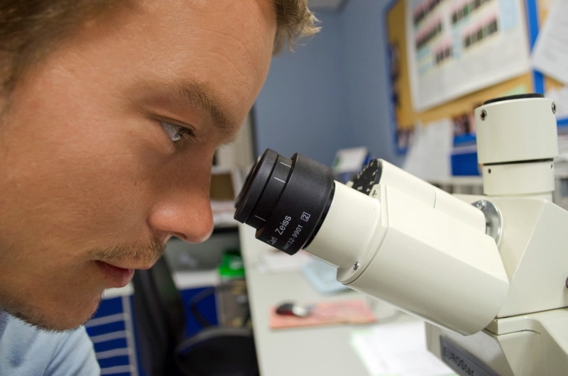 man looking at the microscope