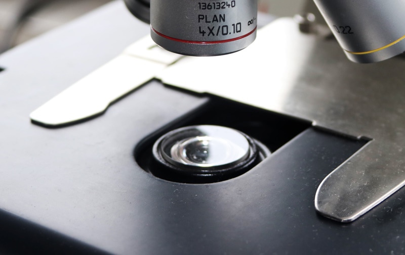 11 Parts of a Compound Microscope (With Pictures) Optics Mag