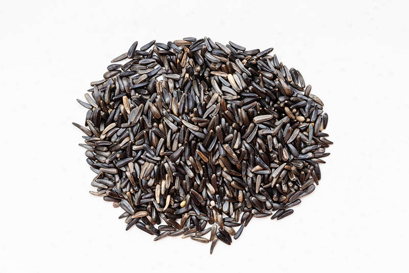 nyjer seeds