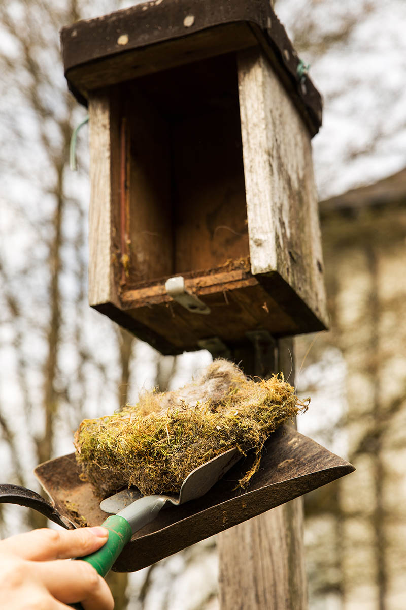 When to Clean Out Birdhouses (and When Not To!) Optics Mag