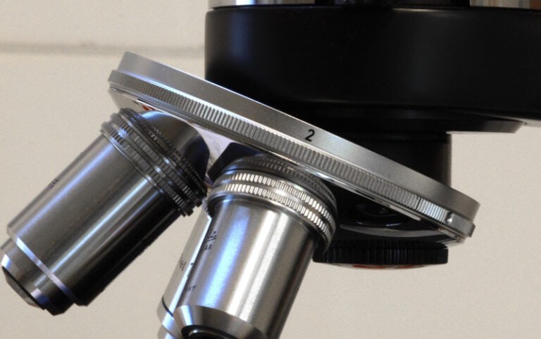 11 Parts of a Compound Microscope (With Pictures) - Optics Mag