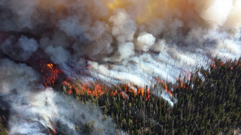 satellite image of forest fire