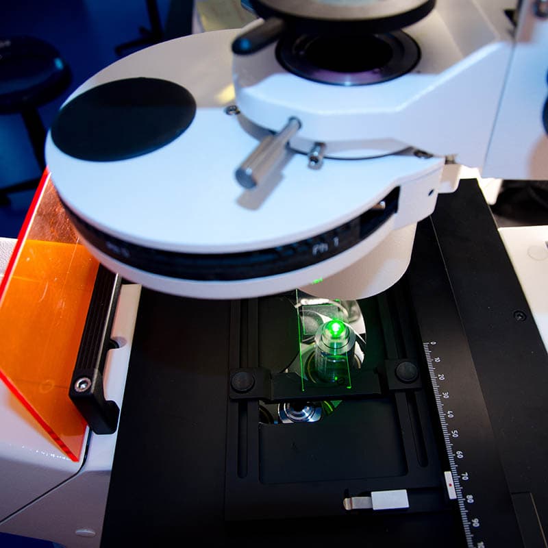 When Do You Use a Fluorescence Microscope? Optics Mag