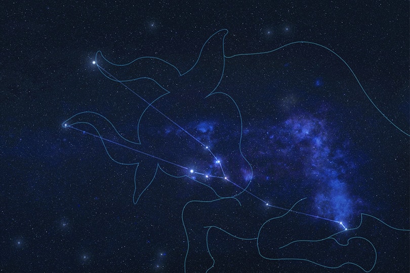 12 Interesting Taurus Constellation Facts, Myths & FAQs - Optics Mag
