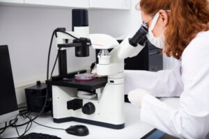 What Is Confocal Microscopy Used For? The Interesting Answer! - Optics Mag