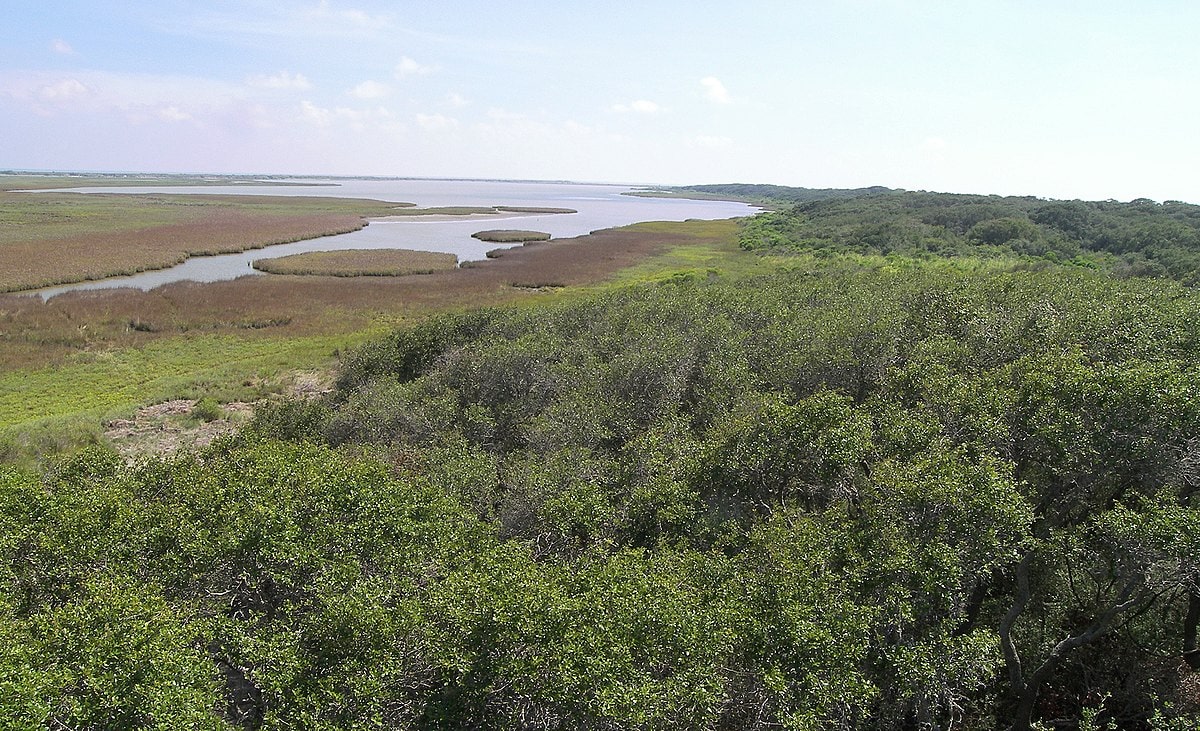 Aransas national wildlife refuge1