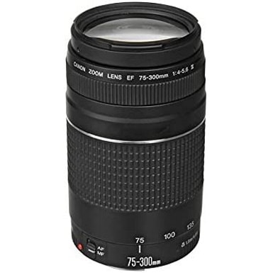 Canon EF 75-300mm