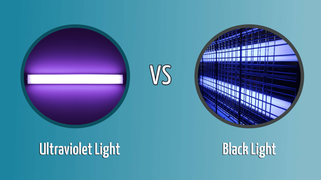 Ultraviolet light vs black light