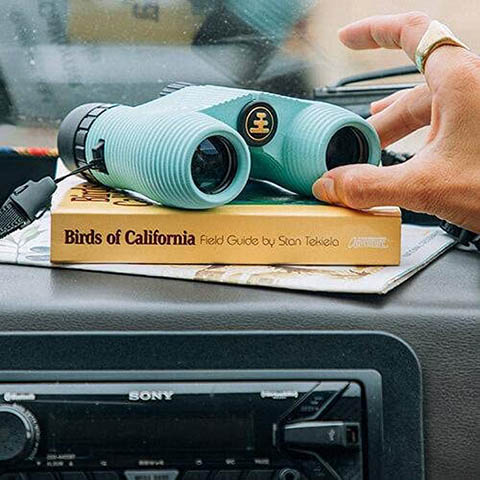 hand reaching on Nocs Provisions Binoculars