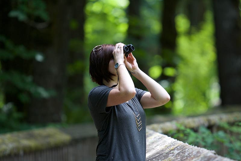 woman looking for birds on nature reserve