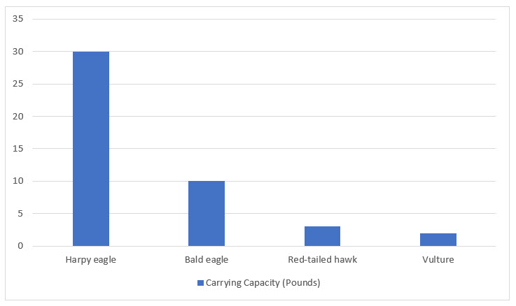 eagle, hawk, and vulture weight capacity