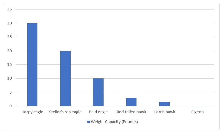 eagle, hawk, & pigeon weight capacity