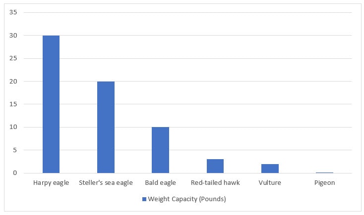 eagle, hawk, vulture and pigeon weight capacity
