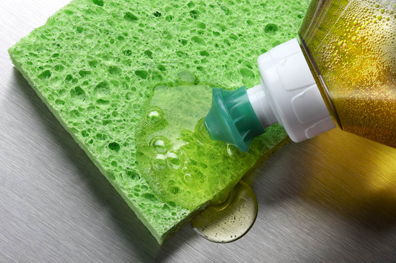 sponge and dish soap